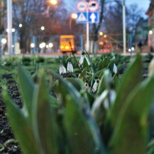 Погода в Измаиле 28 марта