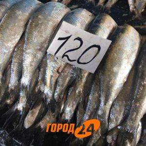 На прилавках Измаила появилась дунайка, но ненадолго… (ФОТО)