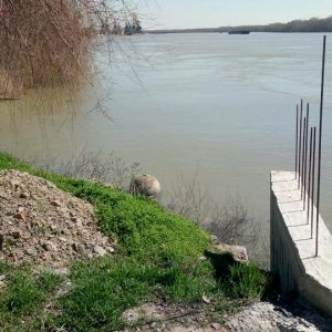 К береговой линии акватории Измаильского порта течением принесло… мину?