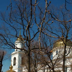 Погода в Измаиле сегодня, 7 апреля