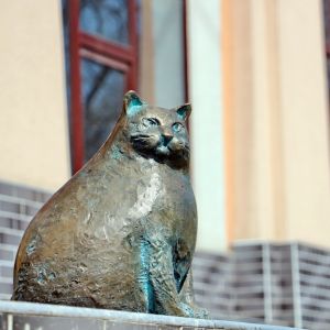 В Одессе установили памятник самой толстой кошке Базарине (ФОТО)