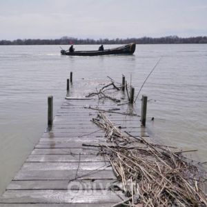 Уровень Дуная в районе Вилково сохранится на опасных отметках минимум до 13 апреля
