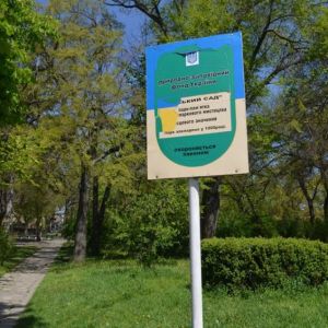 Городской сад омолодят саженцами клёнов, берез и сосен