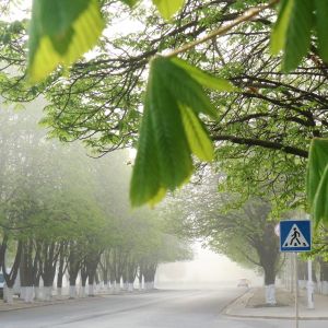 Погода в Измаиле 15 апреля