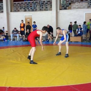 Измаильские борцы завоевали кубок области (ФОТО)