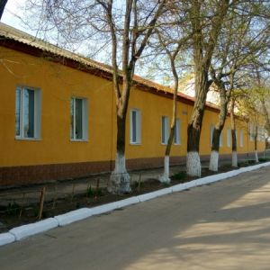В одной из школ города Рени завелись змеи