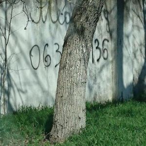 Руководитель отдела Патрульной полиции Измаила инициировал флешмоб по борьбе с «наркорекламой»