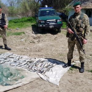 Измаильские пограничники задержали браконьеров с уловом "дунайки"