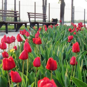 Погода в Измаиле 22 апреля