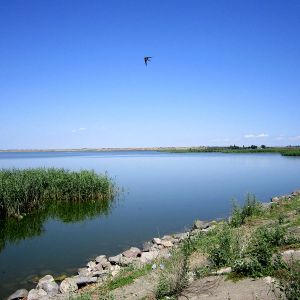 Ялпуг наполнят водой из Дуная