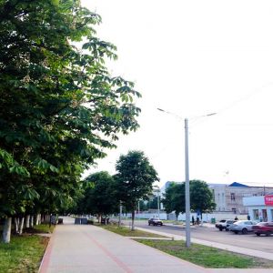 В Измаиле за пять лет количество парков увеличилось почти в два раза: сегодня появился еще один - "Уютный" (ФОТО)
