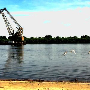 Трагедия на Дунае: в Измаиле в районе Крепости утонул мужчина, его поиски продолжаются