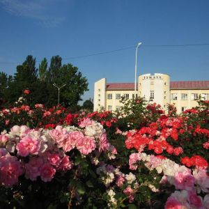 Погода в Измаиле 3 июня