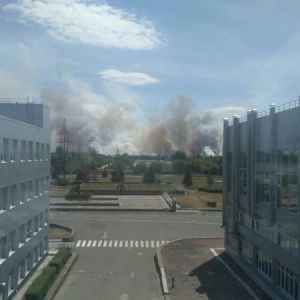 В Чернобыле горит "Рыжий лес" - огонь охватил 10 гектаров