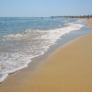 В Затоку не едем: вода признана негодной для купания