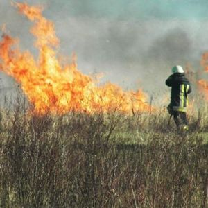 Одесская область включила 442 пункта в список объектов повышенной пожарной опасности