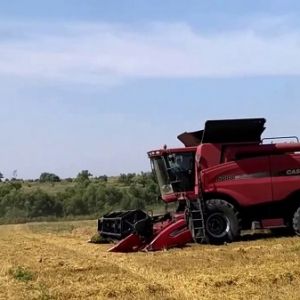 В Одесской области прогнозируют неурожай и рост цен на продукты