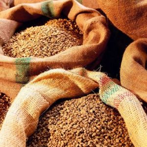 Экспорт продукции агросектора Украины в страны ЕС увеличился на 145 млн. долл., а квоты почти исчерпаны