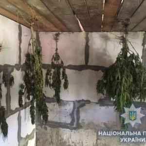 В Измаильском районе обнаружен мини-склад оружия и боеприпасов, а также наркотики (ФОТО,ВИДЕО)