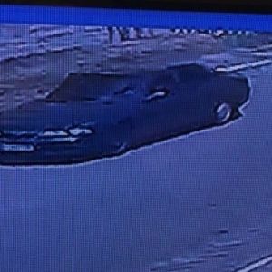 Полиция опровергла сообщение о стрельбе по трактору в Болградском районе