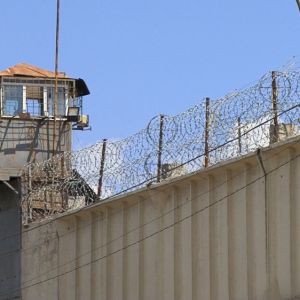 Побег из одесской колонии: заключенные проломили стенку овощехранилища