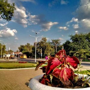 Погода в Измаиле сегодня, 5 августа