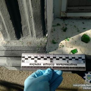 Воскресный «фейерверк» в Озерном: Измаильская полиция расследует хулиганские действия неизвестных