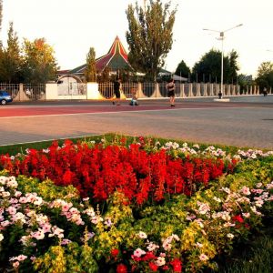 Погода в Измаиле 10 августа