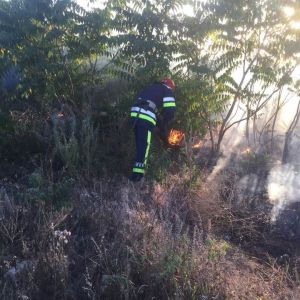 В Одесской области за сутки ликвидировали 34 пожара в экосистемах, в том числе и в Измаильском районе (ФОТО)