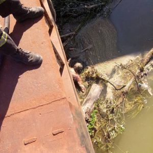 В Измаиле в районе Копаной Балки в Дунае обнаружен труп мужчины (ФОТО +18)