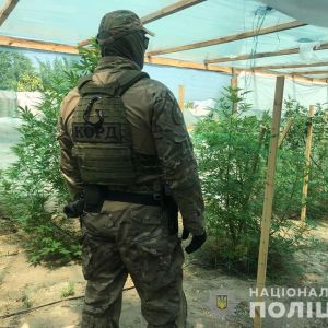 Встретил с ружьем: Измаильская полиция и «КОРД» обнаружили еще одну наркоплантацию