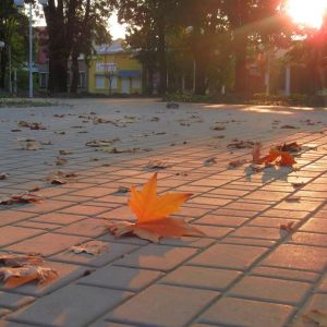 Погода в Измаиле 24 августа