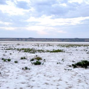 Одесский Куяльник превращается в соляную пустыню (ФОТО)