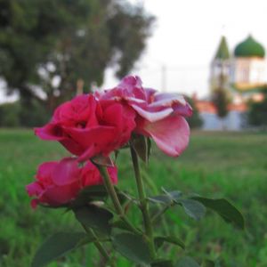 Погода в Измаиле 4 сентября