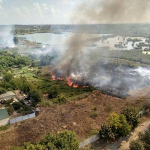 В Измаиле произошел масштабный пожар - выгорели плавни на 4 гектарах (ФОТО)
