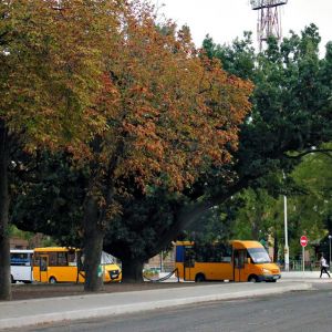 Погода в Измаиле 7 сентября