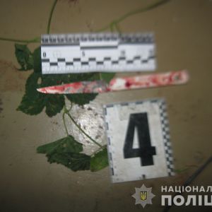 Допились: под Измаилом мужчина убил собутыльника (ФОТО)