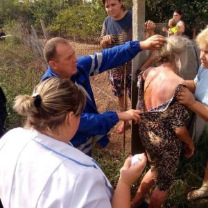 В Измаильском районе во время пожара в поле пострадала женщина (ФОТО)