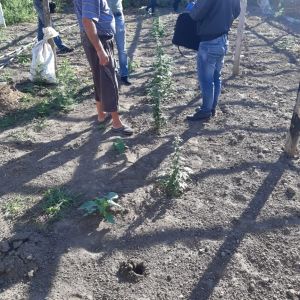 В Одесской области правоохранители обнаружили у жителя приграничья наркотическое зелье