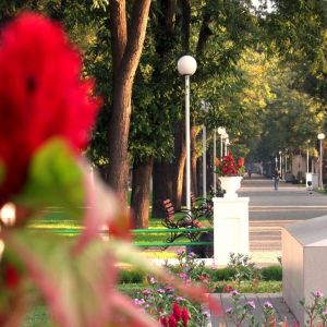 Погода в Измаиле сегодгня