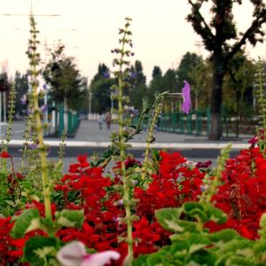Погода в Измаиле сегодня