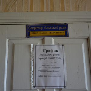 Секретарь Озернянского сельсовета "расписался" в незаконном захвате власти?