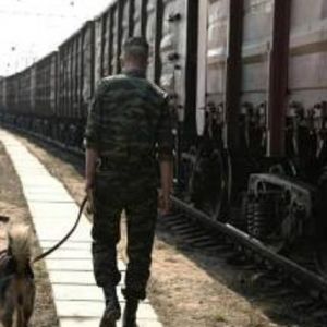 В Одесской области на перегоне Этулия-Рени обворовали грузовой поезд