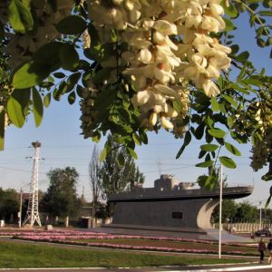 Деревья на аллее Дружбы будут высажены осенью