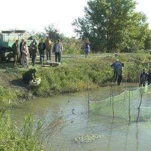 Осенний сезон зарыбления стартовал в Одесской области