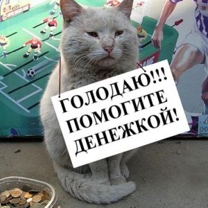 Социaльный эксперимент: легко ли в Одессе рaботaть попрошaйкой (ВИДЕО)