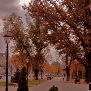 Погода в Измаиле сегодня, 14 ноября
