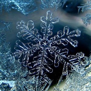 Ночью в Одесской области температура опустится до -7 градусов