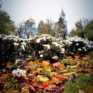 Погода в Измаиле 19 ноября