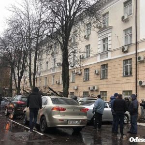 В Одессе упавшее дерево повредило десять автомобилей